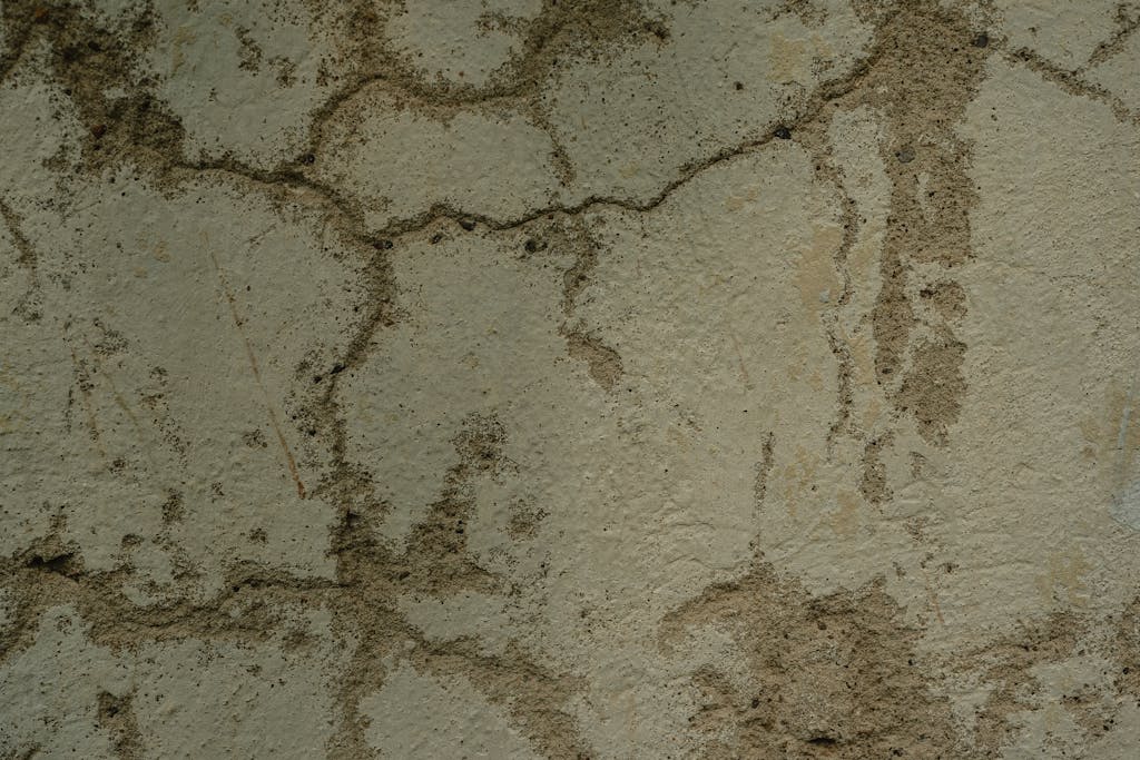 Close-up of cracked and eroded wall with organic patterns and textures.