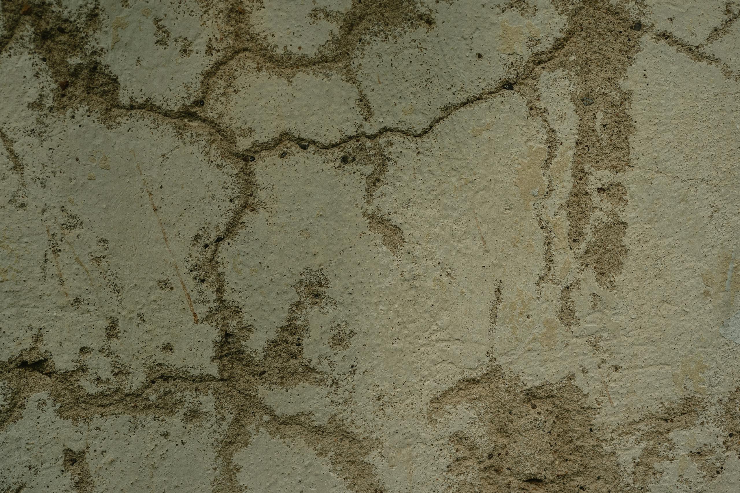 Close-up of cracked and eroded wall with organic patterns and textures.